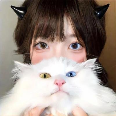 综艺